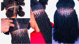 How to micro twist with curly hair minitwist microtwists twist twostrandtwist [upl. by Codi838]