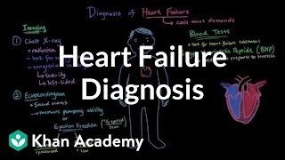 Heart failure diagnosis  Circulatory System and Disease  NCLEXRN  Khan Academy [upl. by Germaun402]