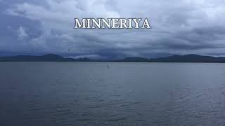 Minneriya wewa [upl. by Jaclin]