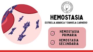 HEMOSTASIA Hemostasia Primaria y Secundaria [upl. by Elka702]