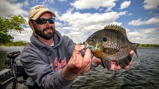 Panfish 101 — Angling Edge TV [upl. by Akiret805]