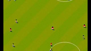 Sensible Soccer Goal [upl. by Xeno]