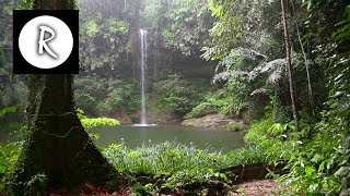 10 Hrs Rainforest amp Rain for Relaxing Nature Sounds for Sleep Meditation Insomnia SPA Study [upl. by Triley]