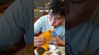 I tried the BEST Tacos in Santa Ana 🌮 California Taco Tour [upl. by Neffets]