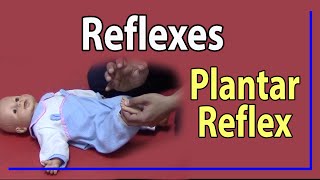 22 Plantar Reflex [upl. by Ambie]