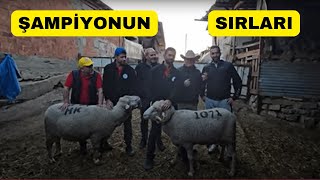 ŞAMPİYON Ailenin Sırları Açığa Çıkıyor [upl. by Osi]