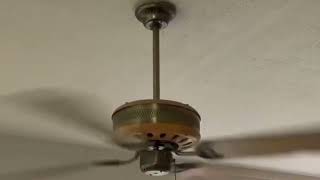 SMC Shell Manufacturing Co W52 Wood Housing Ceiling Fan [upl. by Atolrac]