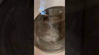 Miele WXR860 normal wash demo [upl. by Annayek]