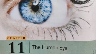 The Human Eye Part 1 DAV Class 8 Science chapter Complete detailed and easy explanation [upl. by Brightman]