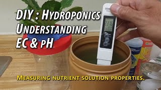 DIY  Hydroponics  Understanding EC pH Simple Lettuce Nutrient Solution and Measurements [upl. by Wilton618]