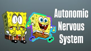 Pharmacology autonomic nervous system neetpg pharmacology [upl. by Rheims143]