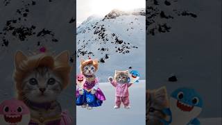 CHICKY VS KISSY  cutecat catlover catvideos trendingshorts [upl. by Eimmac]