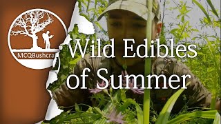 Bushcraft Foraging Wild Edibles of Summer [upl. by Naicad535]