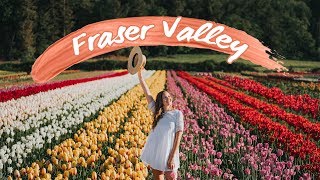 ABBOTSFORD amp THE FRASER VALLEY  a guide to everything you need to do in the area [upl. by Piks]