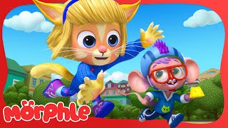 The Cat and the Mouse 😺🐭  Mila and Morphle  Animal Cartoons for Kids [upl. by Uball]