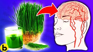 17 Wheatgrass Health Benefits That You SHOULDNT IGNORE [upl. by Kelsy]