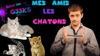 Mes amis les chatons  SLG N°9  MATHIEU SOMMET [upl. by Egon]