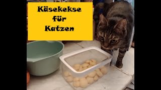 Selbstgemachte Käsekekse für Katzen brigittebaresfg3lv [upl. by Pardo267]