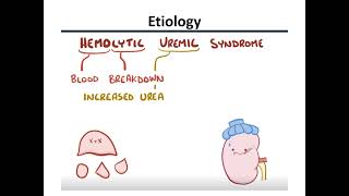 hemolytic uremic syndrome HUS [upl. by Nodnas]