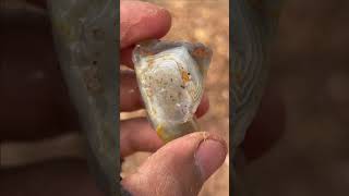 Finding Natural Chalcedony Gemstones At The Mountain Episode134 [upl. by Karrie]