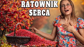 Ostatnia Szansa Roślina Która Może Uratować SERCE [upl. by Anaihk980]