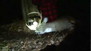 Mathews Z7 Michigan Instinctive Bowhunt 14 Point Whitetail Dan Fitzgerald [upl. by Mirelle]