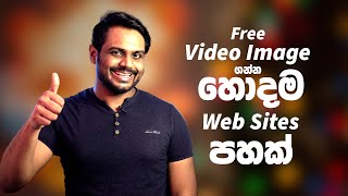 Top 5 Web Sites for Free Stoke Videos and Images  Sinhala Tutorial [upl. by Ajssatsan458]