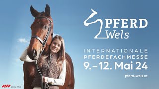 Pferd Wels internationale Pferdemesse [upl. by Eitsud688]