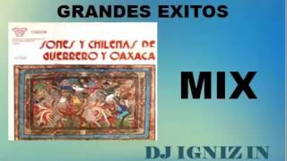 Dj Igniz  Sones Y Chilenas De Guerrero Y De Oaxaca Mix  Solo Lo Mejor Parte 1 [upl. by Yelra]