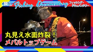 【丸見え！水面炸裂】ペンシルプラグを襲うメバル Fishingドキュメンタリー【ライトゲームマニア】 [upl. by Eyaf]