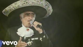 Vicente Fernández Mariachi México de Pepe Villa  El Tahur Audio [upl. by Refotsirc]