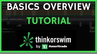 ThinkorSwim Tutorial Basics Overview for Beginners [upl. by Bissell]