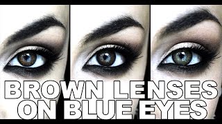 BROWN EYE CONTACTS ON BLUE EYES ♥ 3 SHADES ♥ FRESHLOOK COLORBLENDS [upl. by Solraced]