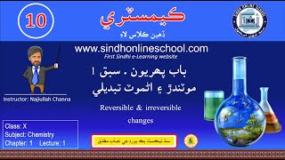 Reversible and irreversible changes Chemistry Class 10  Chapter 1  Lecture 1 Sindh Online School [upl. by Eneloj]