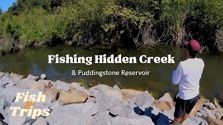 Fishing Hidden Creek amp Puddingstone Reservoir [upl. by Pachton589]