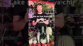 cake se kuchh bhi bnate haitrainding viralshort viralvideo [upl. by Ahsratal992]