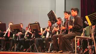 VI Taller de clarinete Peru [upl. by Elaval]