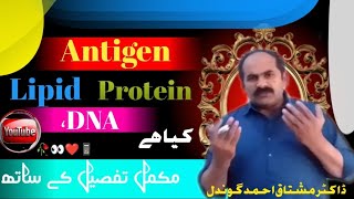 What are properties of Antigen what is difference between Antigen and Immunogen [upl. by Drarrej321]