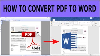 How to Convert PDF to Word [upl. by Nesta]