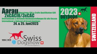 IHA Aarau 2023  24062023 [upl. by Kall]