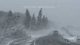 11222024 Mount Storm WV  Blizzard Warning and Heavy Snow [upl. by Brenza]