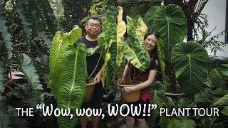 The AMAZING AMAZON Tropical Garden in BORNEO  18 PRO TIPs Plant care amp Garden Design ft Au Yong [upl. by Esorlatsyrc]