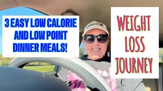 3 EASY LOW CALORIE LOW POINT HEALTHY DINNER RECIPES  WEIGHT LOSS JOURNEY [upl. by Leik838]