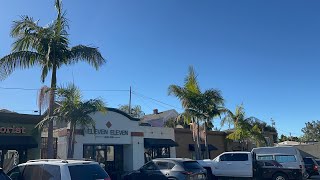 Nice king palms in San Luis Obispo California [upl. by Steven]