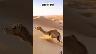 Arab ki desh Bharat se Gobar kyon khareed rahe [upl. by Rayham]