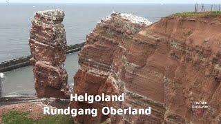 Helgoland Oberland Rundweg Rundgang Klippenrandweg Lummenfelsen Lange Anna Hochseeinsel Teil 6 [upl. by Bethesda]