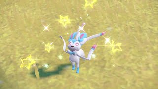 PEV  Nymphali Sylveon Shiny [upl. by Aihselat323]