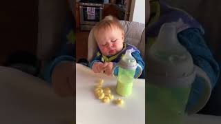 Cute and Funny Baby Moments  part 3  funnyvideo cute baby funnybaby funnybabyshort newborn [upl. by Nabois511]