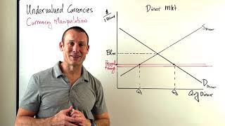 Pegged Exchange Rates Undervalued Currencies [upl. by Latsyrk964]