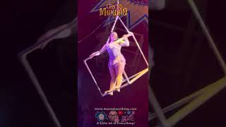 Aerial Artistry from Miss Cinzia at Circus Mondao shorts [upl. by Eonak]